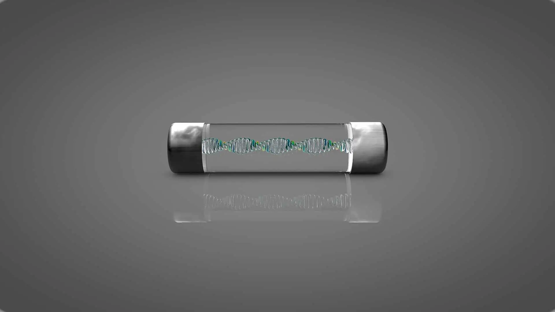 fuse 2843431 1920