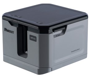 pxe series dead or alive promo image MP500
